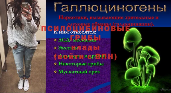 мескалин Верея