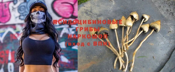 гашик Верхний Тагил