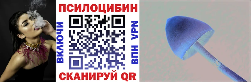 закладка  Красноярск  Псилоцибиновые грибы Psilocybe 